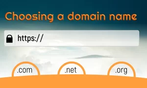 Selecting a Domain Name 