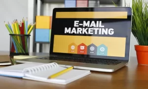 organization need Email Marketing