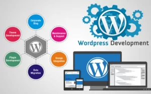 Development WordPress for the Websites