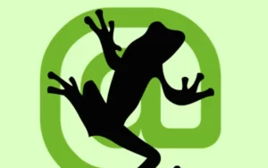 Screaming frog